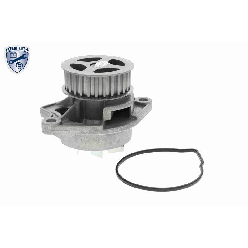 VAICO V10-50109-BEK Bomba de agua + kit correa distribución - 2