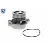 VAICO V10-50109 Bomba de agua + kit correa distribución - 3