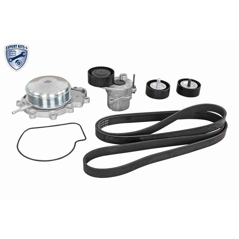VAICO V30-50109 Bomba de agua + kit de correa poli V