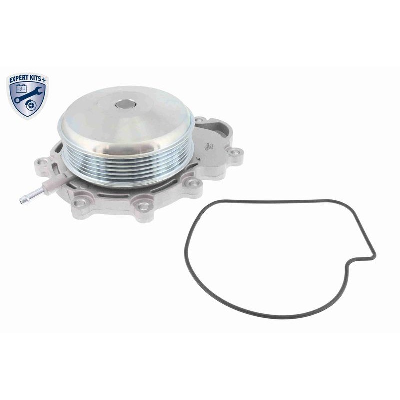 VAICO V30-50109 Bomba de agua + kit de correa poli V