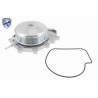 VAICO V30-50109 Bomba de agua + kit de correa poli V