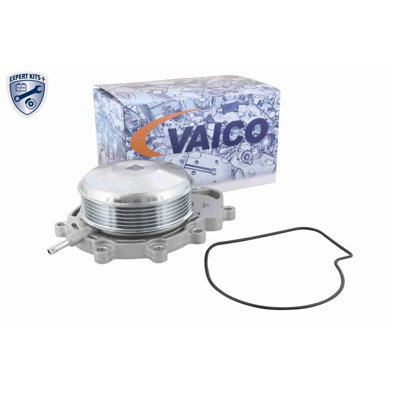 VAICO V30-50109 Bomba de agua + kit de correa poli V