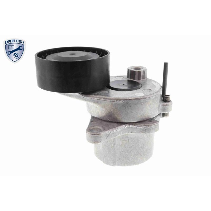 VAICO V30-50109 Bomba de agua + kit de correa poli V