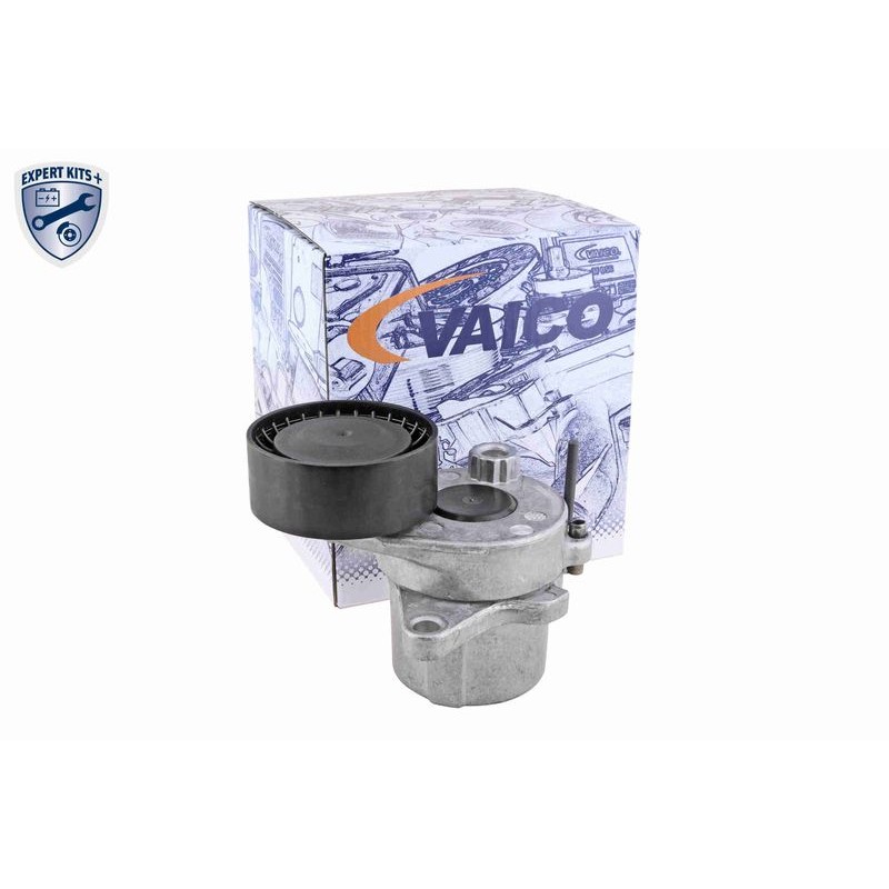 VAICO V30-50109 Bomba de agua + kit de correa poli V