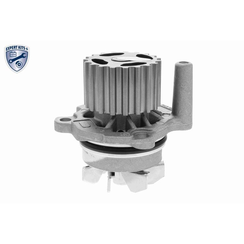 VAICO V10-50108 Bomba de agua + kit correa distribución - 3