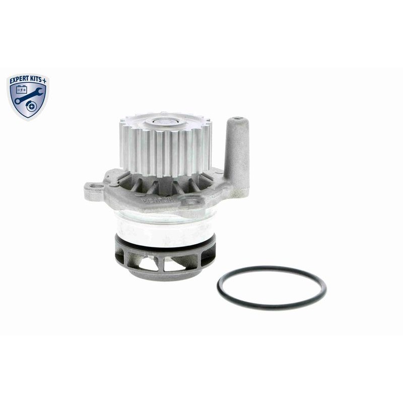 VAICO V10-50107-BEK Bomba de agua + kit correa distribución - 2