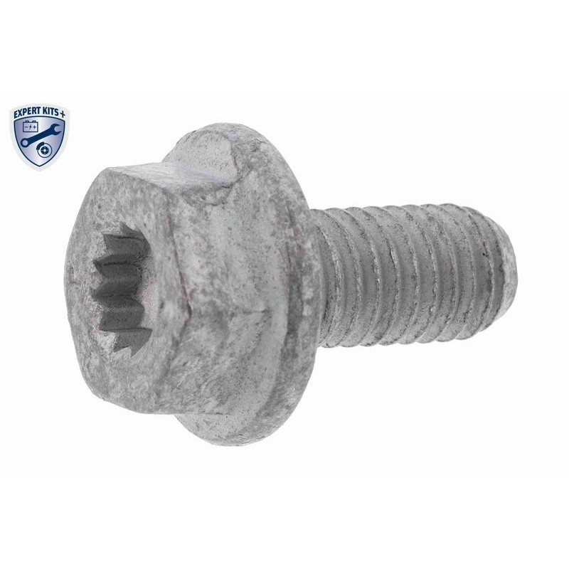 VAICO V10-50107-BEK Bomba de agua + kit correa distribución - 8