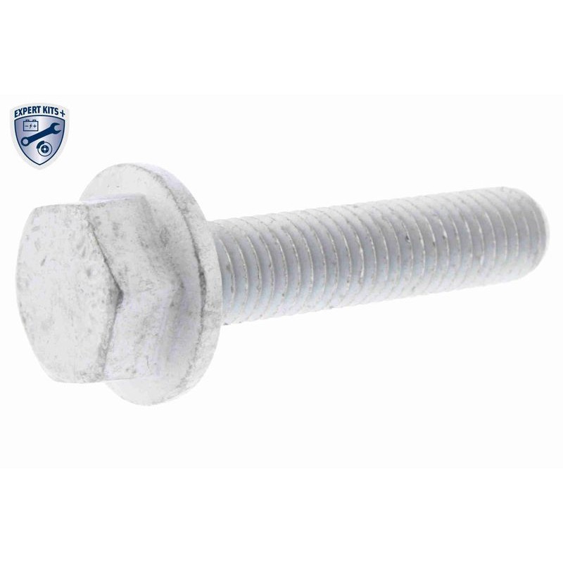 VAICO V10-50107 Bomba de agua + kit correa distribución - 12