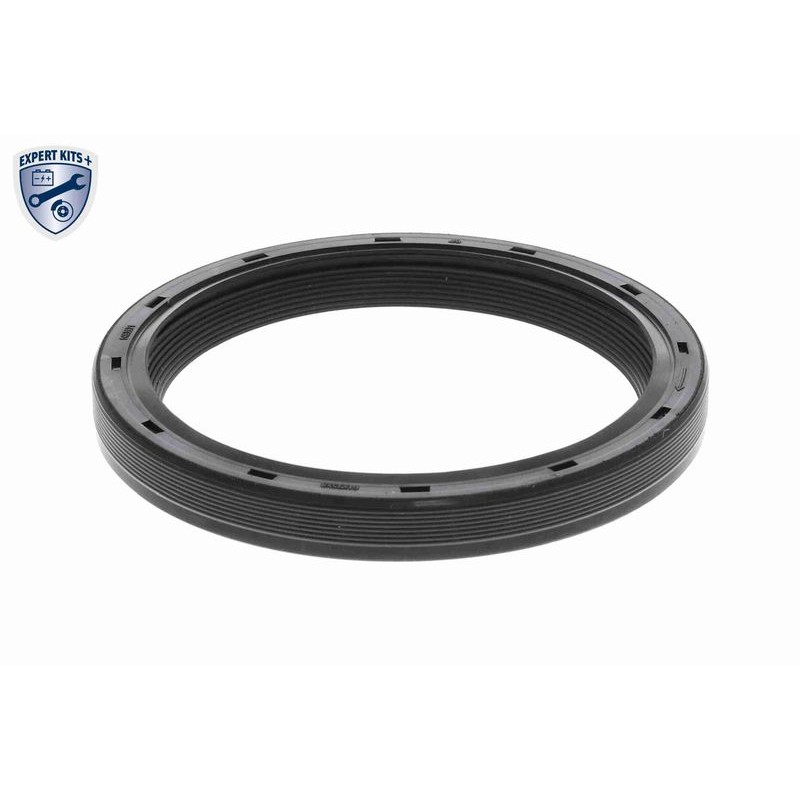 VAICO V22-0886 Juego de correas dentadas - 10