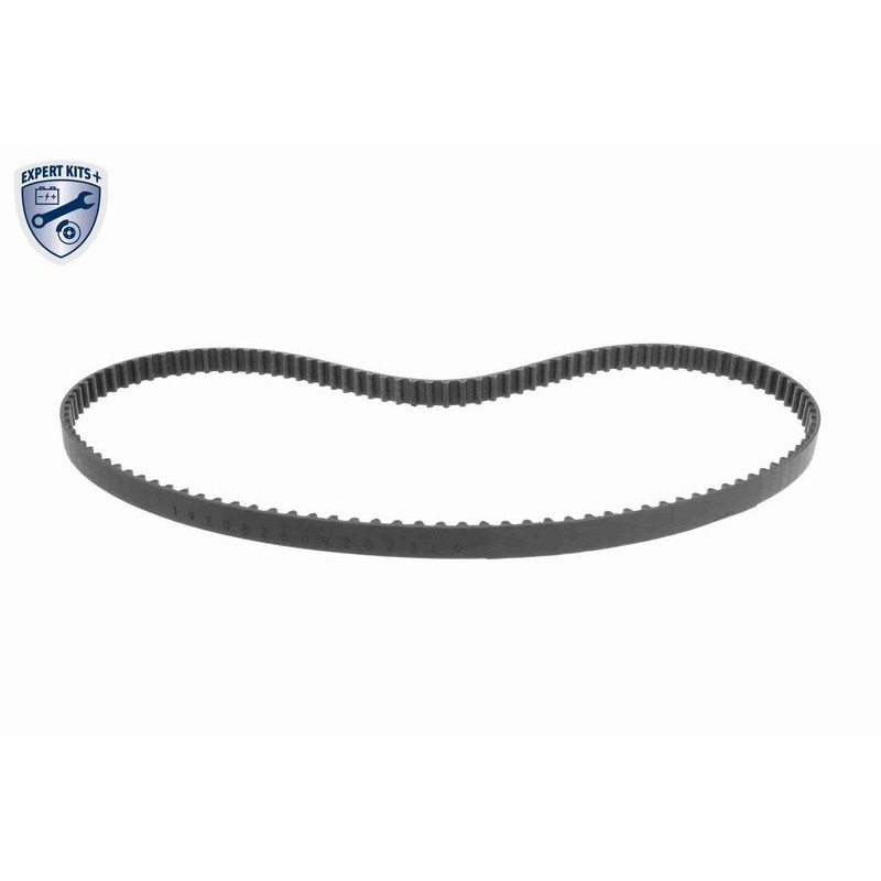 VAICO V22-0887 Juego de correas dentadas - 9