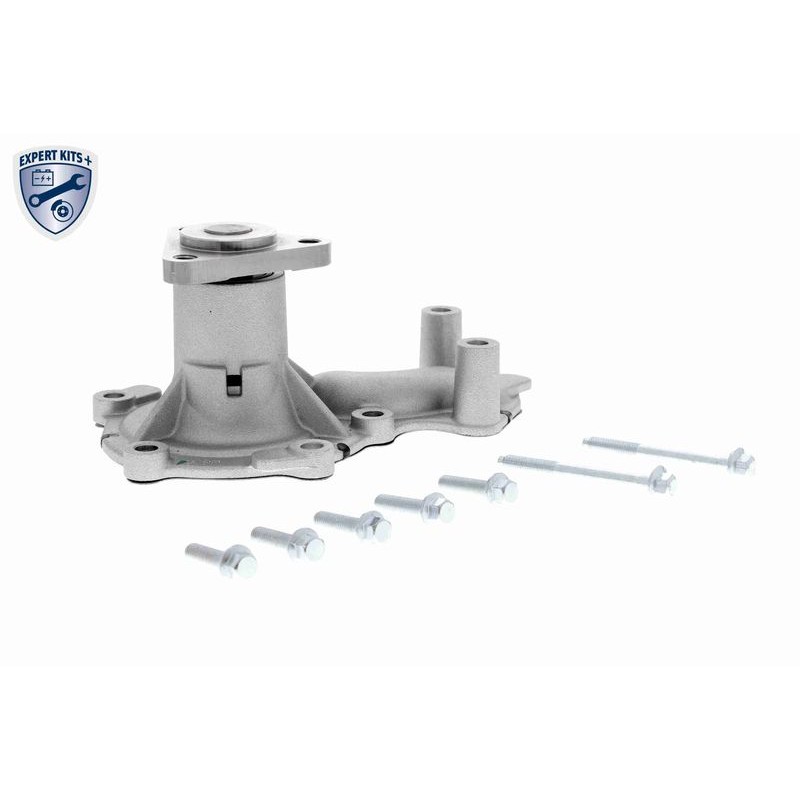 VAICO V25-3148 Bomba de agua + kit correa distribución - 3