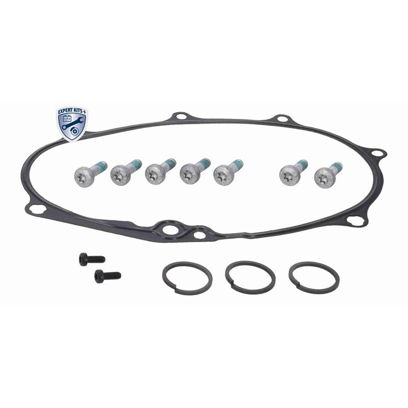 VAICO V10-6695 Kit de reparación, ajuste de árbol de levas - 4