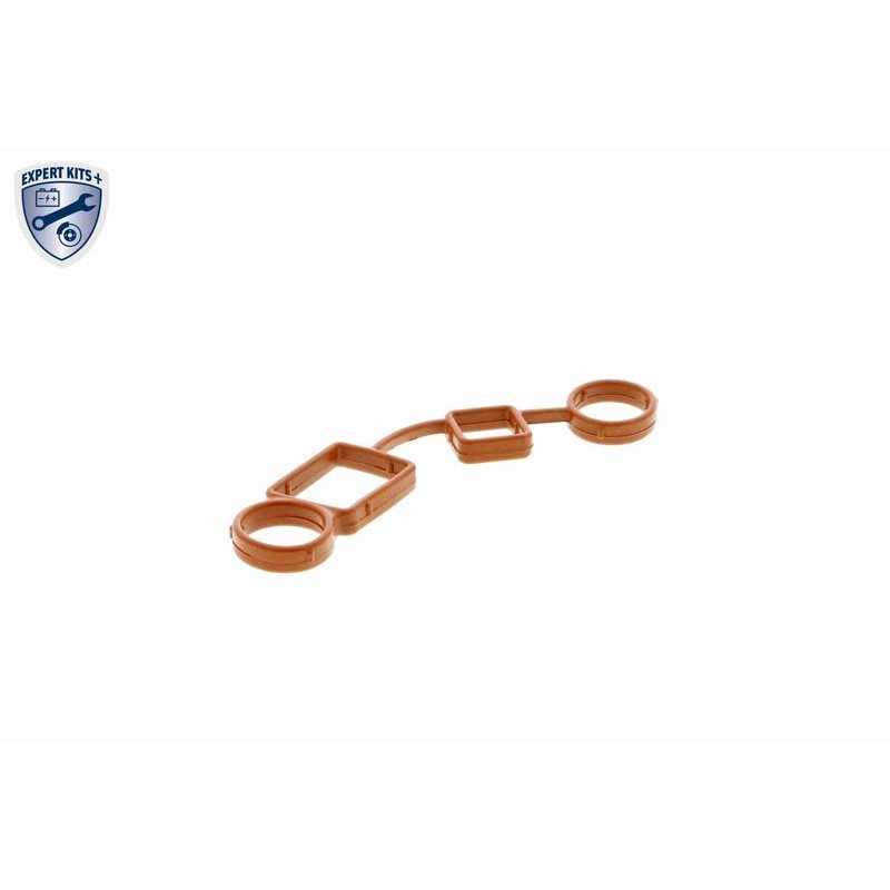 VAICO V10-5606 Kit de reparación, ajuste de árbol de levas - 8