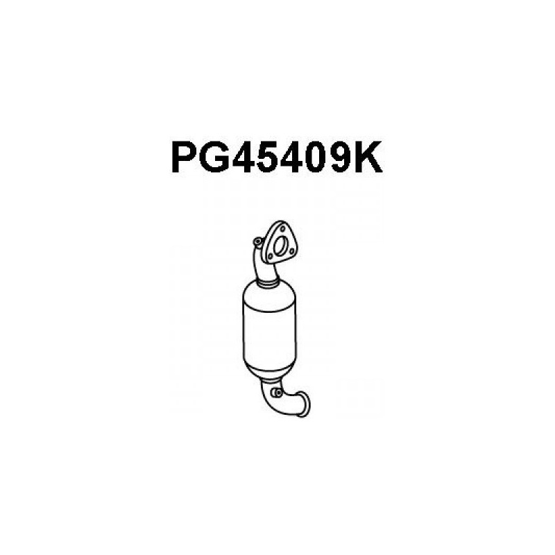 VAUNER 112.PG45409K Catalizador - 1