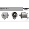 FLAMAR ALF810701EF Alternador - 1