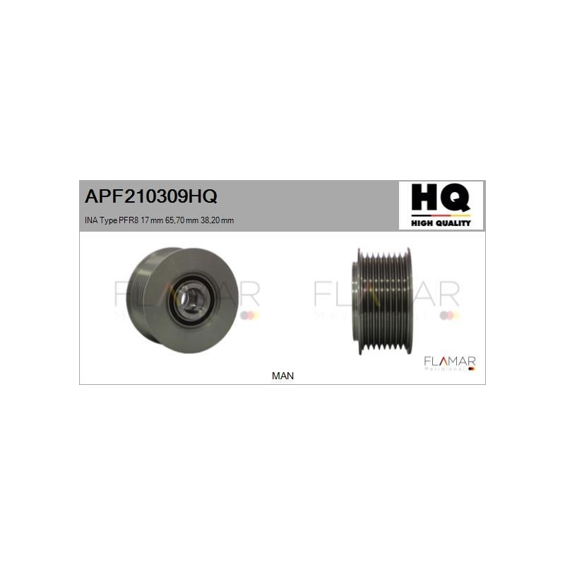 FLAMAR APF210309HQ Polea, alternador - 1