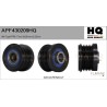 FLAMAR APF430209HQ Polea, alternador - 1