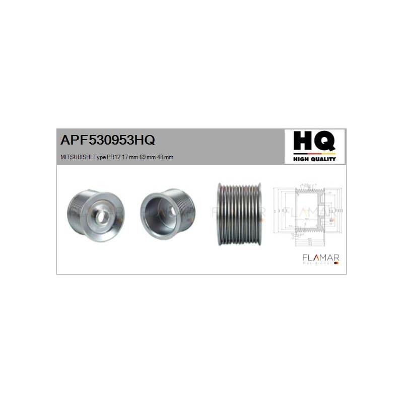 FLAMAR APF530953HQ Polea, alternador - 1