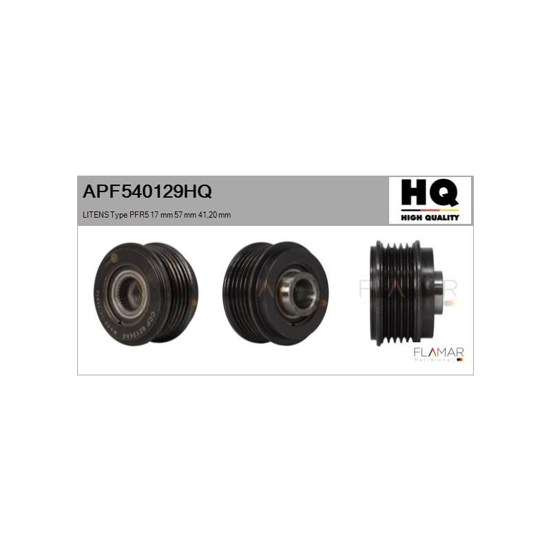 FLAMAR APF540129HQ Polea, alternador - 1