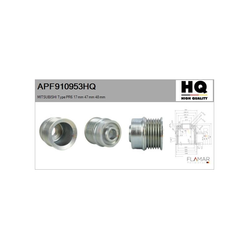 FLAMAR APF910953HQ Polea, alternador - 1
