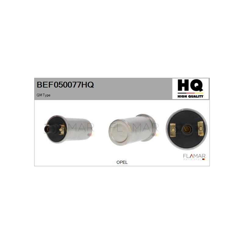 FLAMAR BEF050077HQ Bobina de encendido - 1