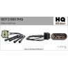 FLAMAR BEF210017HQ Bobina de encendido - 1