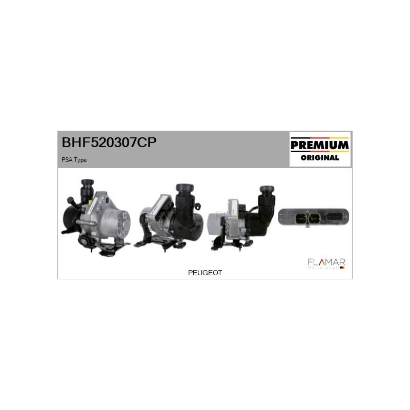FLAMAR BHF520307CP Bomba hidráulica, dirección - 1