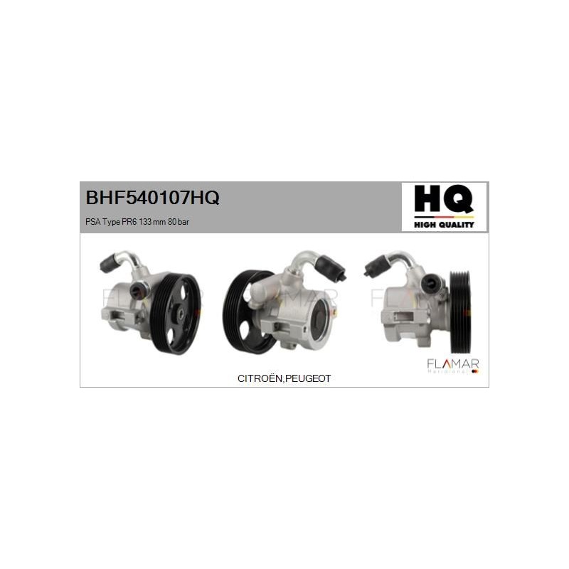 FLAMAR BHF540107HQ Bomba hidráulica, dirección - 1