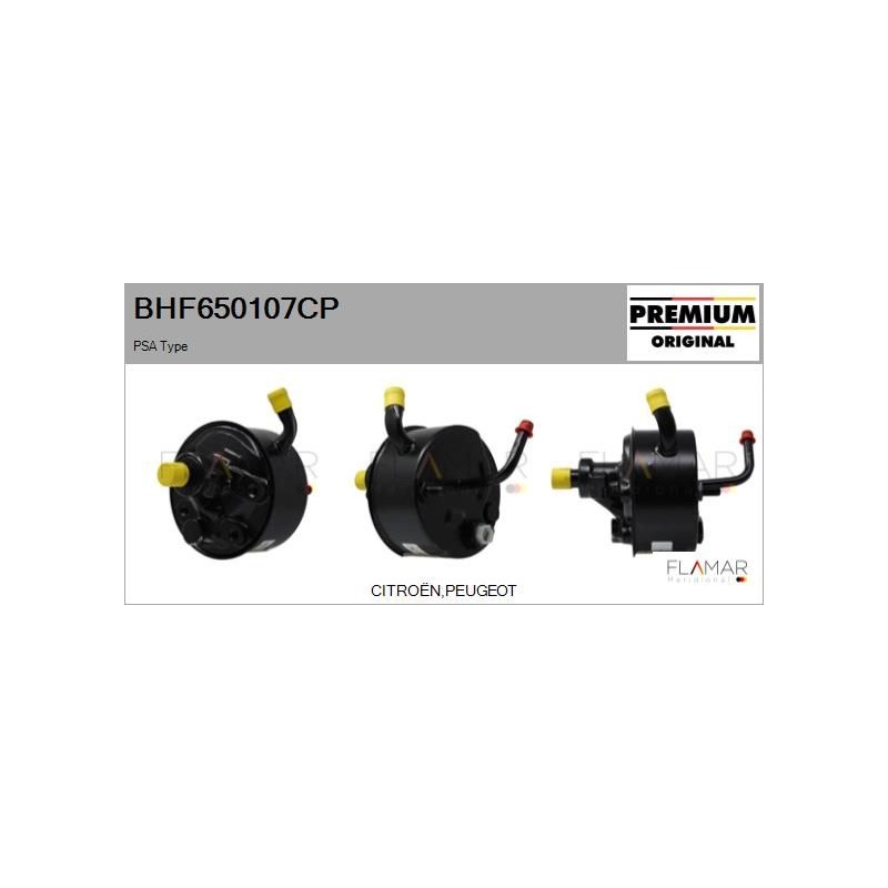 FLAMAR BHF650107CP Bomba hidráulica, dirección - 1