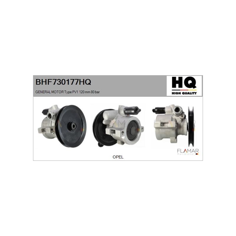 FLAMAR BHF730177HQ Bomba hidráulica, dirección - 1
