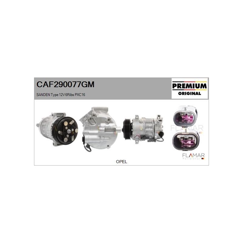 FLAMAR CAF290077GM Compresor, aire acondicionado - 1