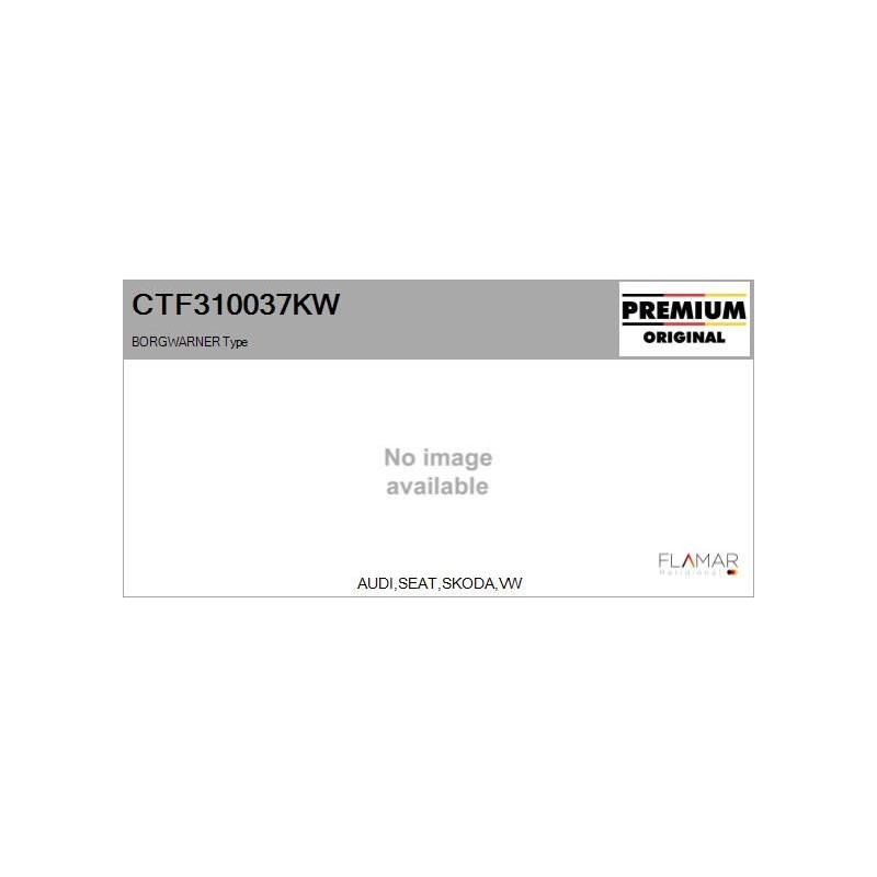 FLAMAR CTF310037KW Conjunto de piezas, turbocompresor - 1