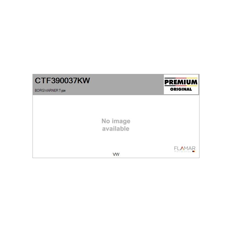 FLAMAR CTF390037KW Conjunto de piezas, turbocompresor - 1