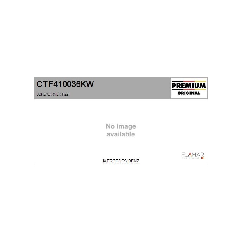 FLAMAR CTF410036KW Conjunto de piezas, turbocompresor - 1