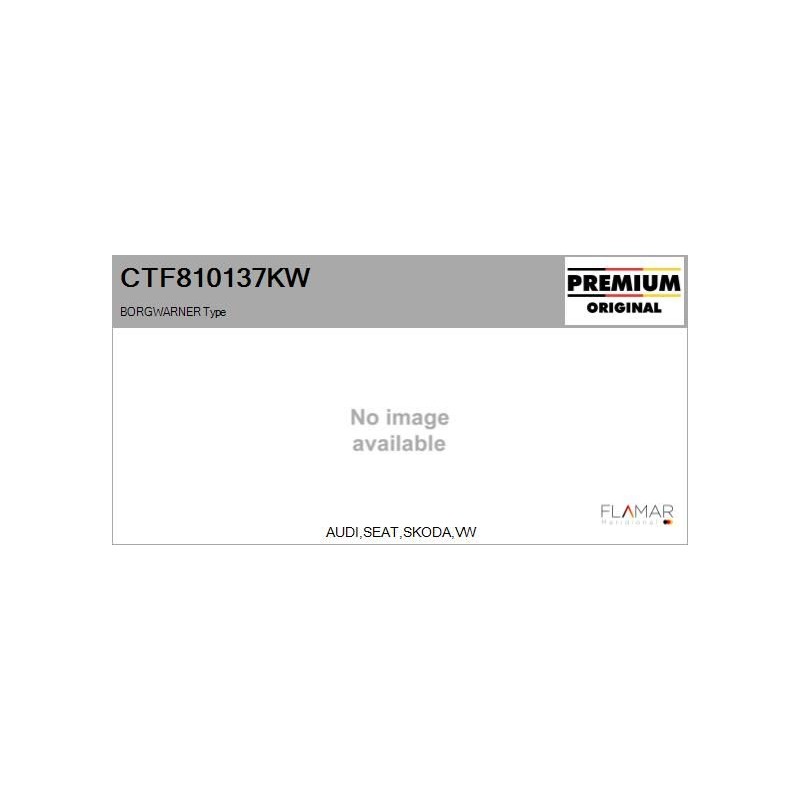 FLAMAR CTF810137KW Conjunto de piezas, turbocompresor - 1