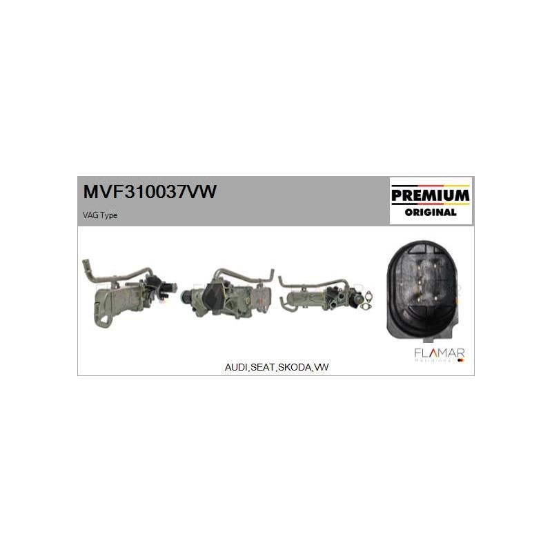 FLAMAR MVF310037VW Módulo EGR - 1