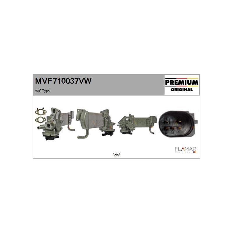 FLAMAR MVF710037VW Módulo EGR - 1
