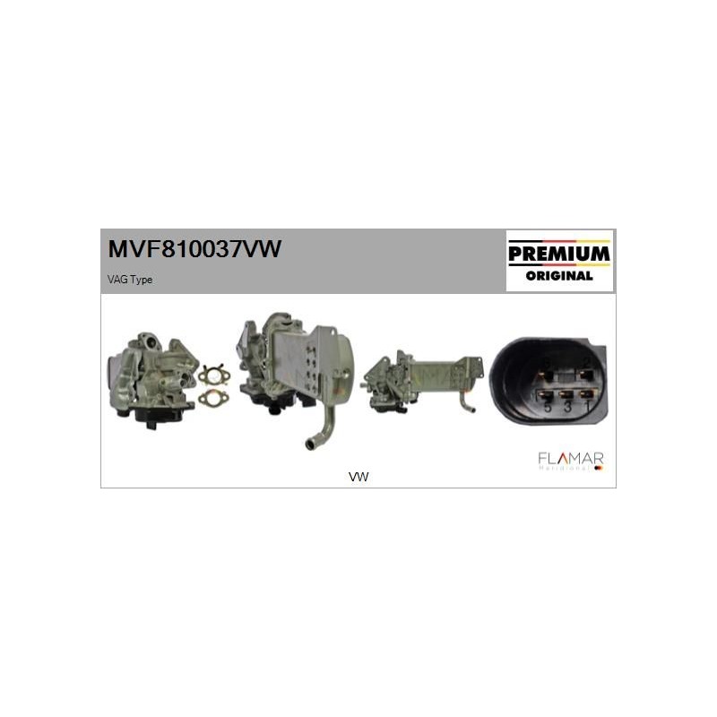 FLAMAR MVF810037VW Módulo EGR - 1