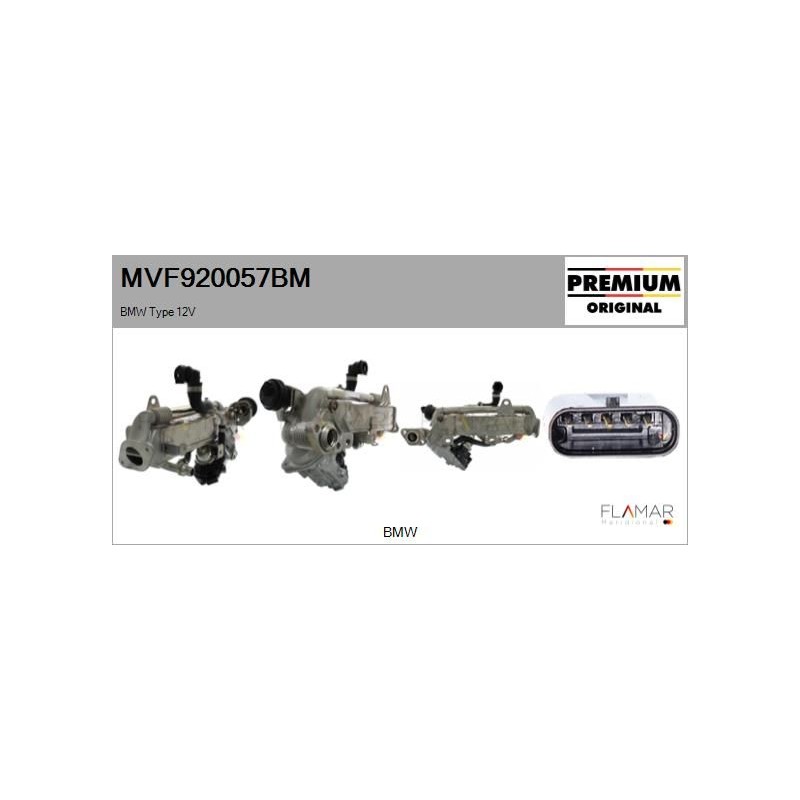 FLAMAR MVF920057BM Módulo EGR - 1