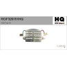 FLAMAR RGF320151HQ Regulador del alternador - 1