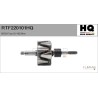 FLAMAR RTF220101HQ Rotor, alternador - 1