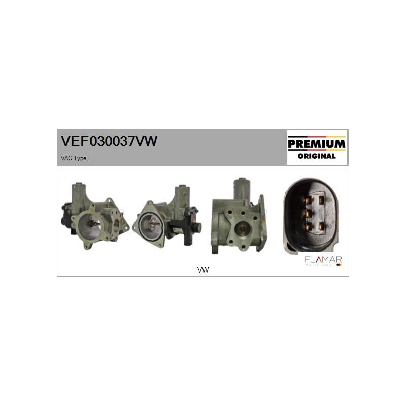 FLAMAR VEF030037VW Válvula EGR - 1