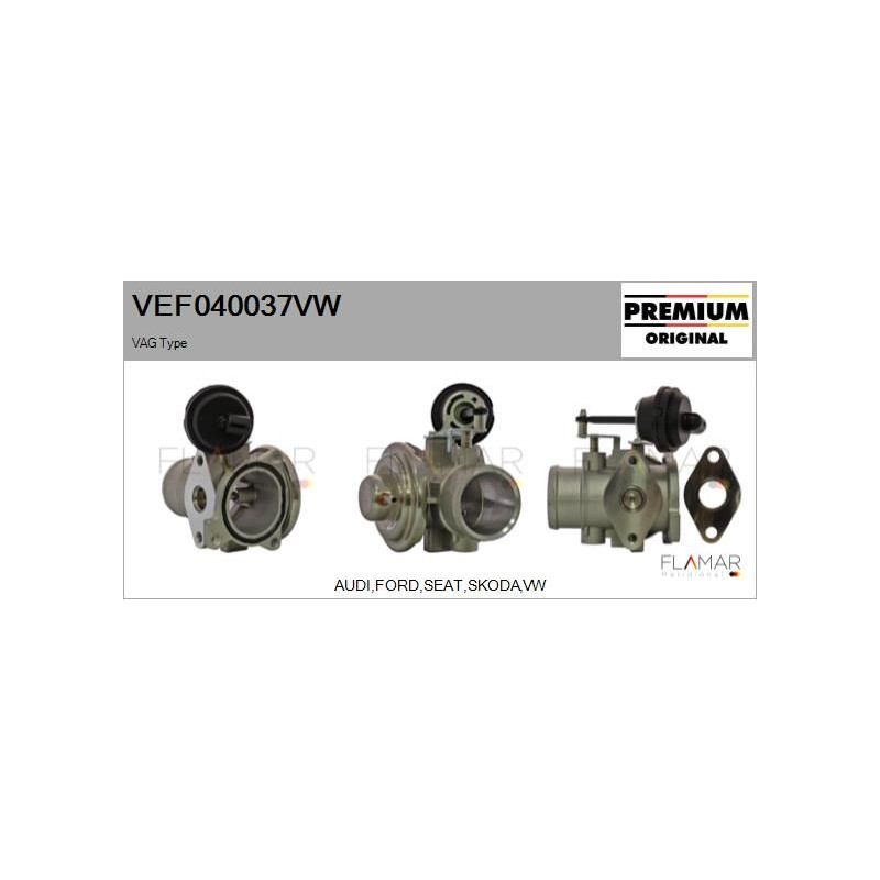 FLAMAR VEF040037VW Válvula EGR - 1
