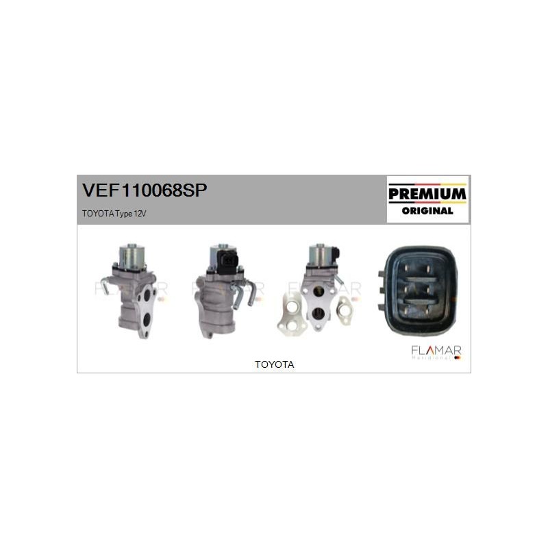 FLAMAR VEF110068SP Válvula EGR - 1