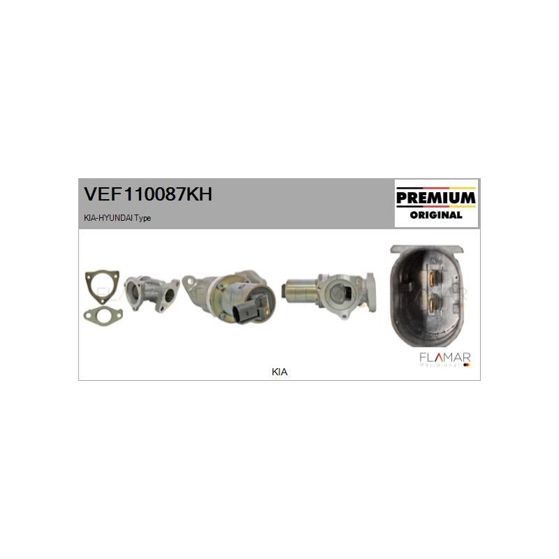 FLAMAR VEF110087KH Válvula EGR - 1