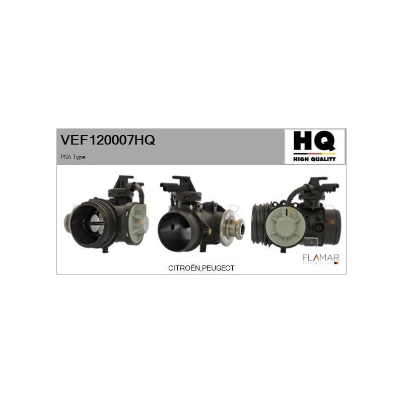 FLAMAR VEF120007HQ Válvula EGR - 1