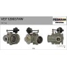 FLAMAR VEF120037VW Válvula EGR - 1