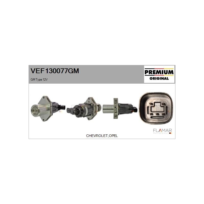 FLAMAR VEF130077GM Válvula EGR - 1
