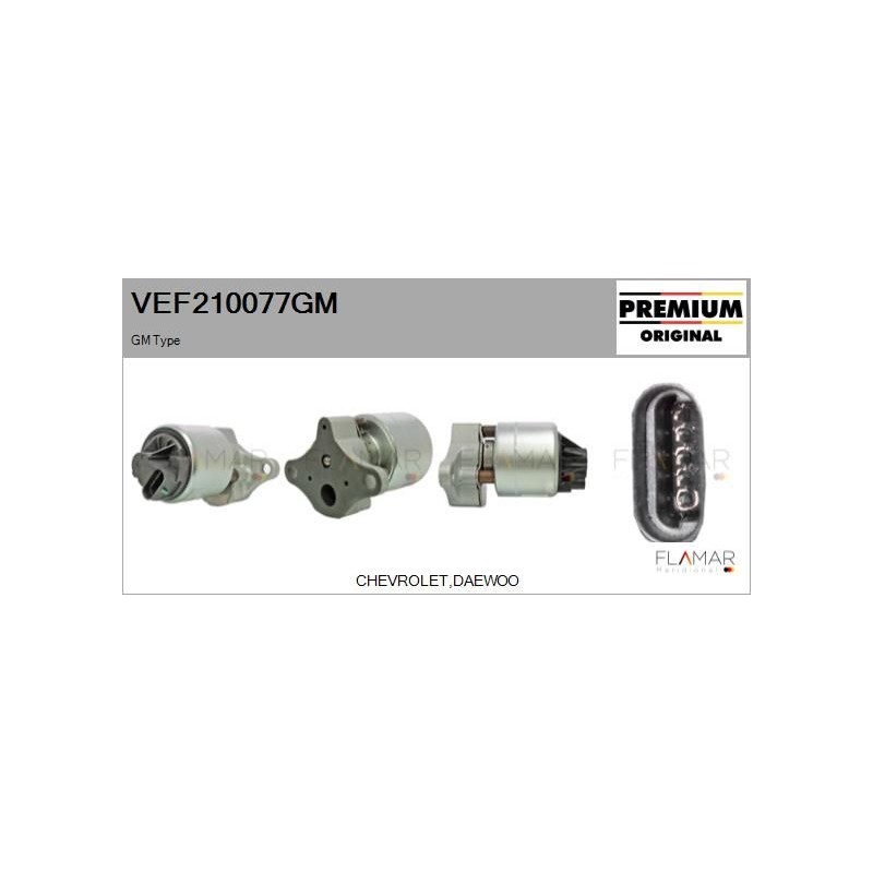 FLAMAR VEF210077GM Válvula EGR - 1