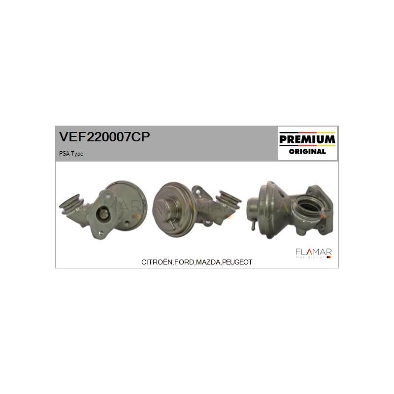 FLAMAR VEF220007CP Válvula EGR - 1
